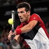 Novak Djokovic no jugará el US Open Novak Djokovic no jugará el US Open