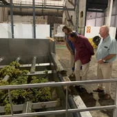 El alcalde, José María Román, en la Bodega de Vitivinicultores Chiclaneros El alcalde, José María Román, en la Bodega de Vitivinicultores Chiclaneros