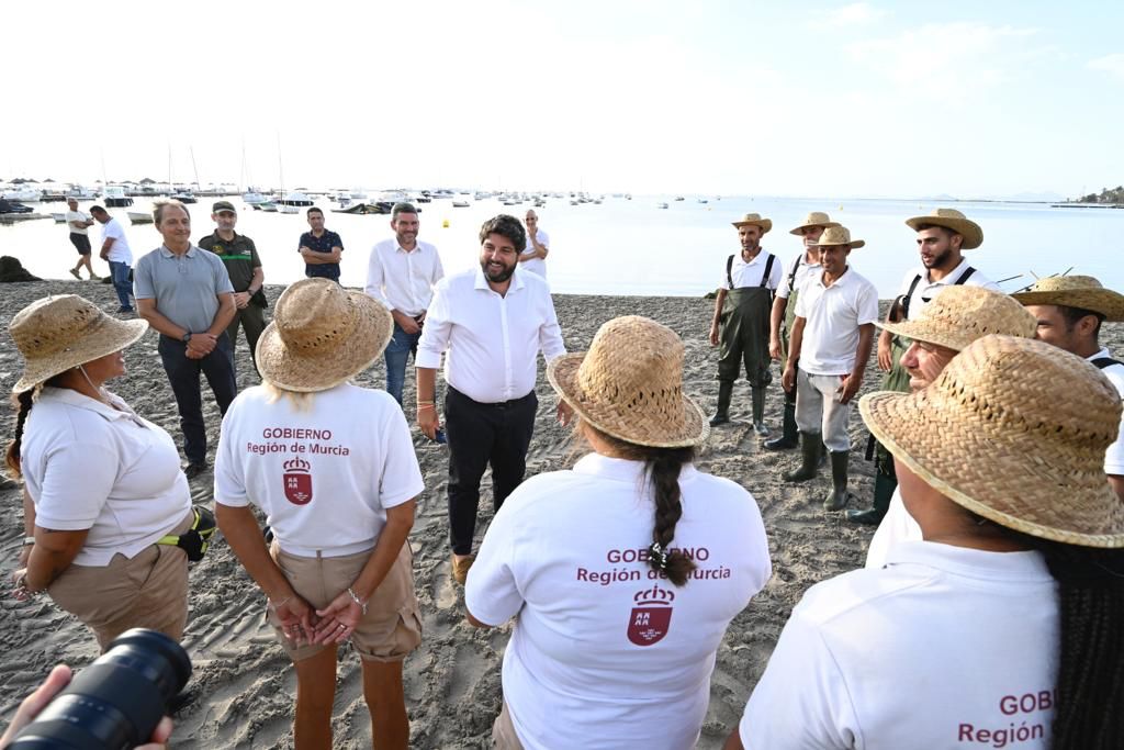El presidente López Miras subraya que la retirada de algas ha permitido que el Mar Menor resista El presidente López Miras subraya que la retirada de algas ha permitido que el Mar Menor resista