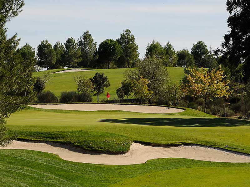 Se espera la participación de 250 jugadores en el Trofeo Feria de Golf Se espera la participación de 250 jugadores en el Trofeo Feria de Golf
