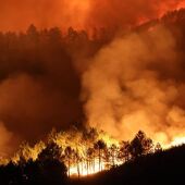 Vista del incendio que arrasa los alrededores de la localidad de Campobecerros, Ourense