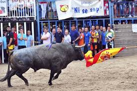 Raúl Mérida: El número de muertos en festejos taurinos "es demasiado alto" Raúl Mérida: El número de muertos en festejos taurinos "es demasiado alto"