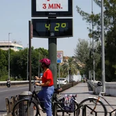 La ola de calor de este verano será la temperatura promedio en poco tiempo, según un estudio La ola de calor de este verano será la temperatura promedio en poco tiempo, según un estudio