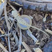 Un camaleón recién nacido Un camaleón recién nacido
