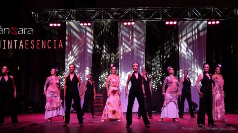 espectaculo flamenco