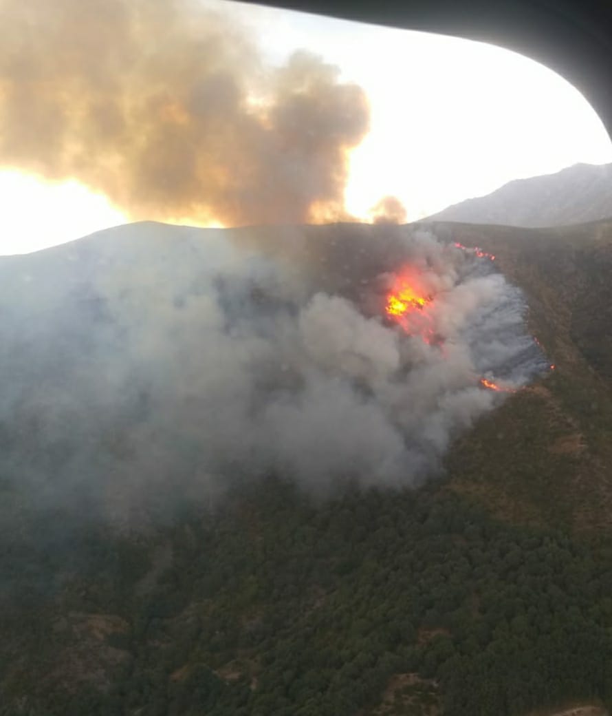 Evolución favorable para el incendio forestal de Tornavacas producido por un Rayo Evolución favorable para el incendio forestal de Tornavacas producido por un Rayo
