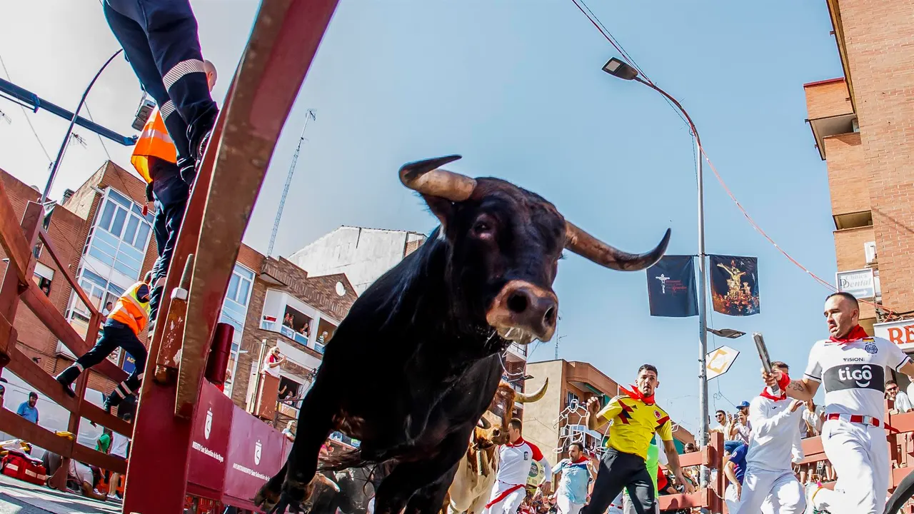 Un herido en el primer encierro de San Sebastián de los Reyes tras la pandemia