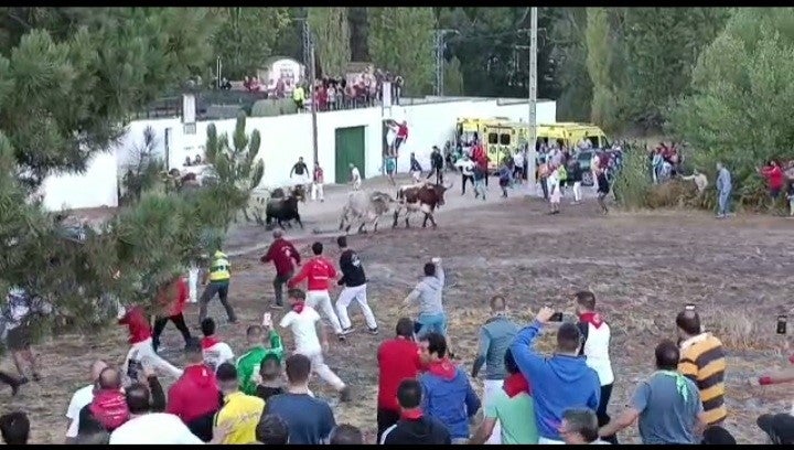 Segundo encierro complicado, pero sin incidentes en las fiestas de Cuéllar Segundo encierro complicado, pero sin incidentes en las fiestas de Cuéllar
