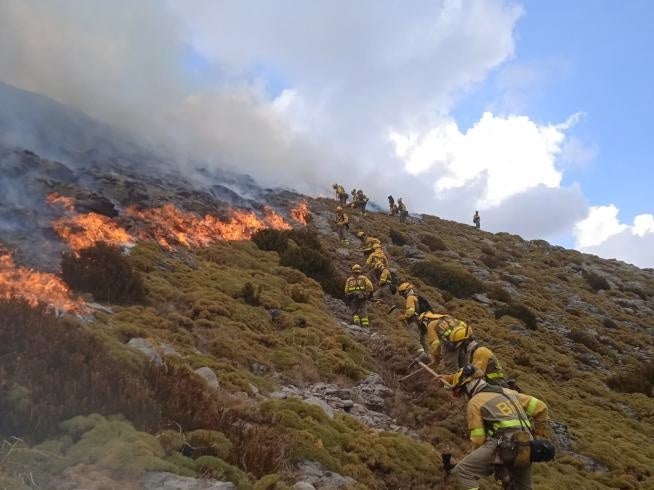 El fuego ha arrasado 22.000 hectáreas este verano en Aragón El fuego ha arrasado 22.000 hectáreas este verano en Aragón