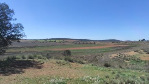 Imagen Pantano de La Cabezuela (Valdepeñas)