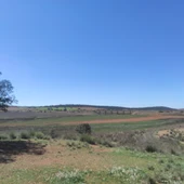 Imagen Pantano de La Cabezuela (Valdepeñas) Imagen Pantano de La Cabezuela (Valdepeñas)