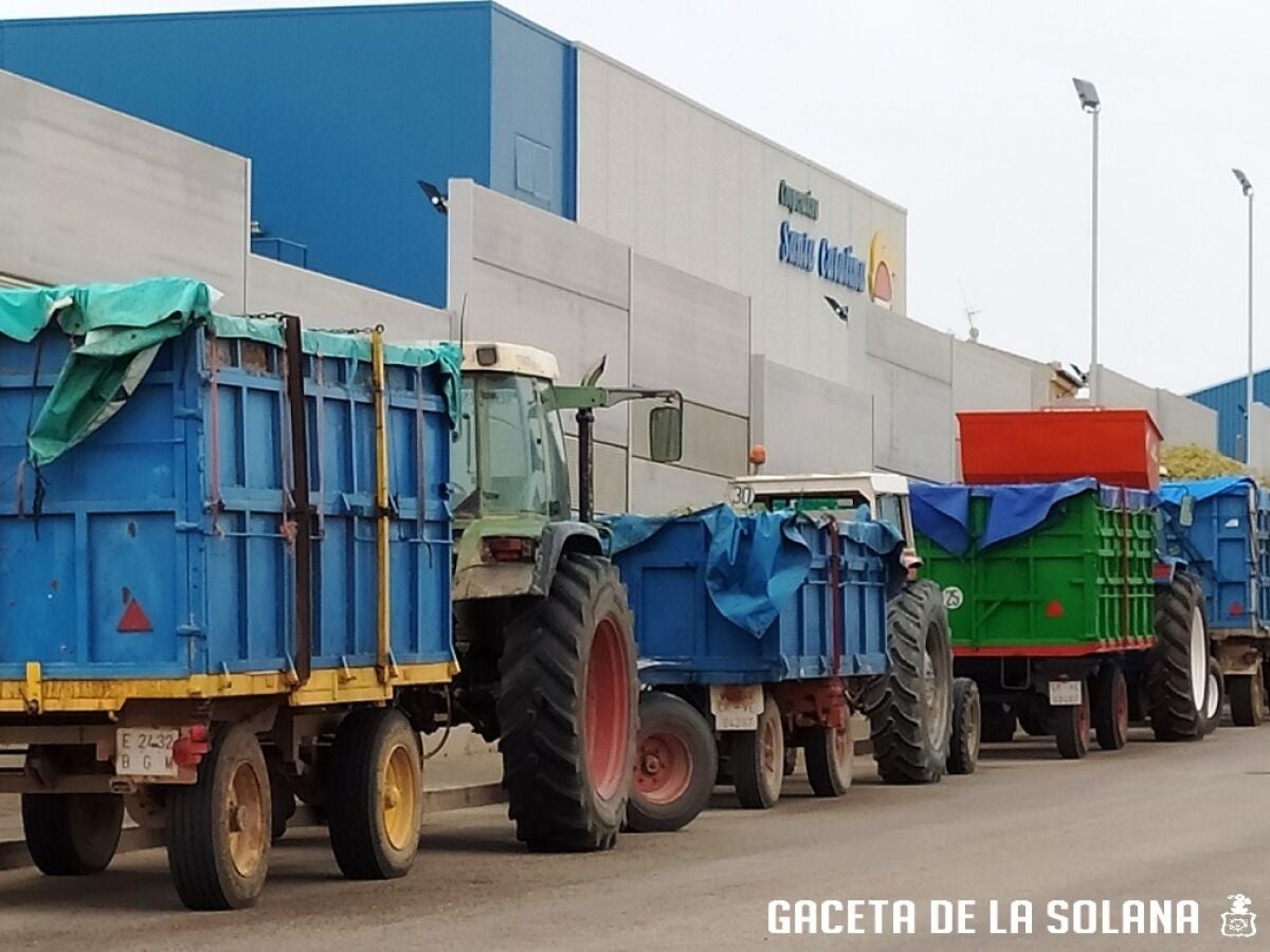 Empieza a entrar uva airén en la Cooperativa Santa Catalina de La Solana |  Onda Cero Radio