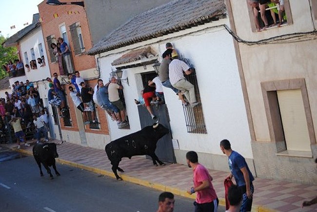 Fernán Caballero celebra hoy el tradicional encierro al estilo "fernanduco" Fernán Caballero celebra hoy el tradicional encierro al estilo "fernanduco"