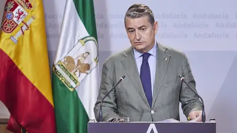 El consejero de Presidencia, Interior y Diálogo Social de la Junta de Andalucía, Antonio Sanz. El consejero de Presidencia, Interior y Diálogo Social de la Junta de Andalucía, Antonio Sanz.