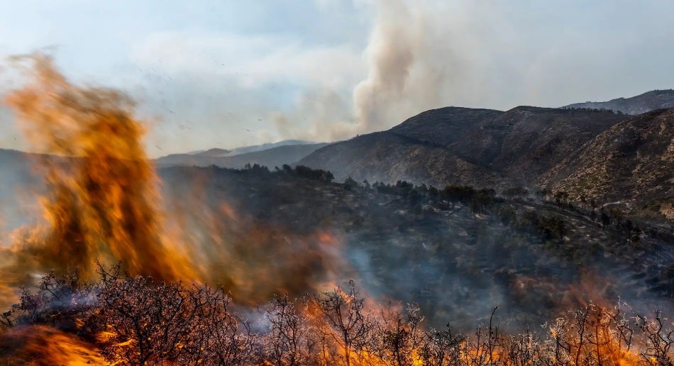 Ayuntamientos y particulares tienen 30 días para solicitar las ayudas por los daños provocados por los incendios Ayuntamientos y particulares tienen 30 días para solicitar las ayudas por los daños provocados por los incendios