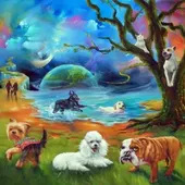 Ángel Osuna adiestrador canino "El gran Eddy ha cruzado el arco iris tras una vida de servicio" Ángel Osuna adiestrador canino "El gran Eddy ha cruzado el arco iris tras una vida de servicio"