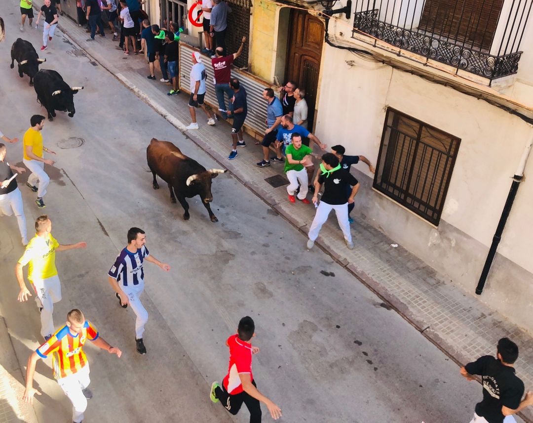 El ‘Dia del Major’ reunirá en Almassora a más de 1.200 personas esta tarde El ‘Dia del Major’ reunirá en Almassora a más de 1.200 personas esta tarde