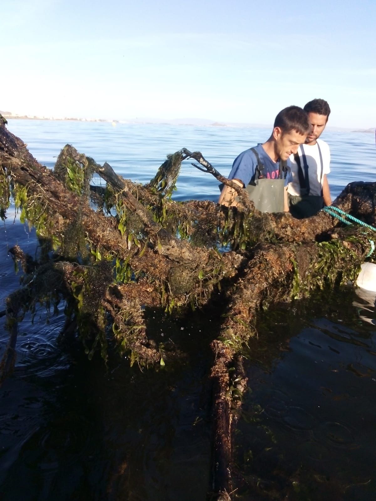 La Comunidad Autónoma ha retirado más de 18 toneladas de algas del Mar Menor en lo que va de año La Comunidad Autónoma ha retirado más de 18 toneladas de algas del Mar Menor en lo que va de año