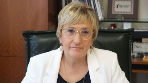 La portavoz del PSP-PSOE en el ayuntamiento de Alicante, Ana Barcel&oacute;