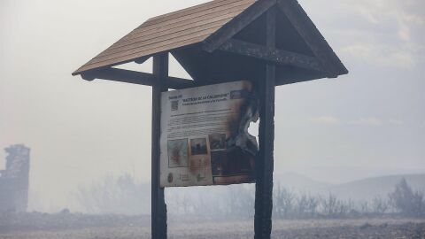 Zona calcinada en el Basti&oacute;n de la Calderona. 