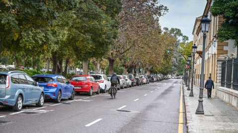 V&iacute;a de servicio del Paseo de la Alameda