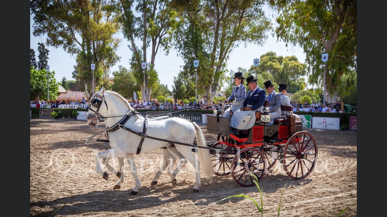 Carruajes tradicionales por las calles de Córdoba Carruajes tradicionales por las calles de Córdoba