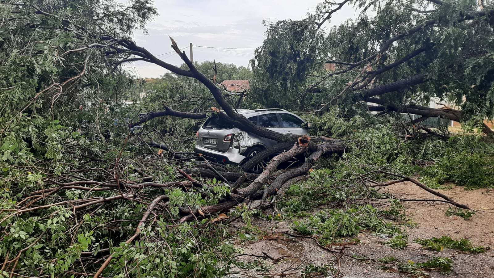 Más de uno La Rioja Noticias Mediodía 13/09/2022 Más de uno La Rioja Noticias Mediodía 13/09/2022
