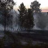 Imaxe de archivo do incendio forestal de Verín. Europa Press