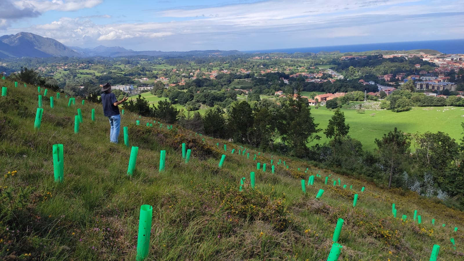 Llanes inicia la campaña de reforestación 2022-2023 Llanes inicia la campaña de reforestación 2022-2023
