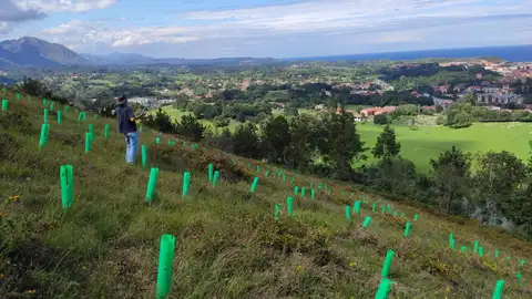 Llanes inicia la campaña de reforestación 2022-2023