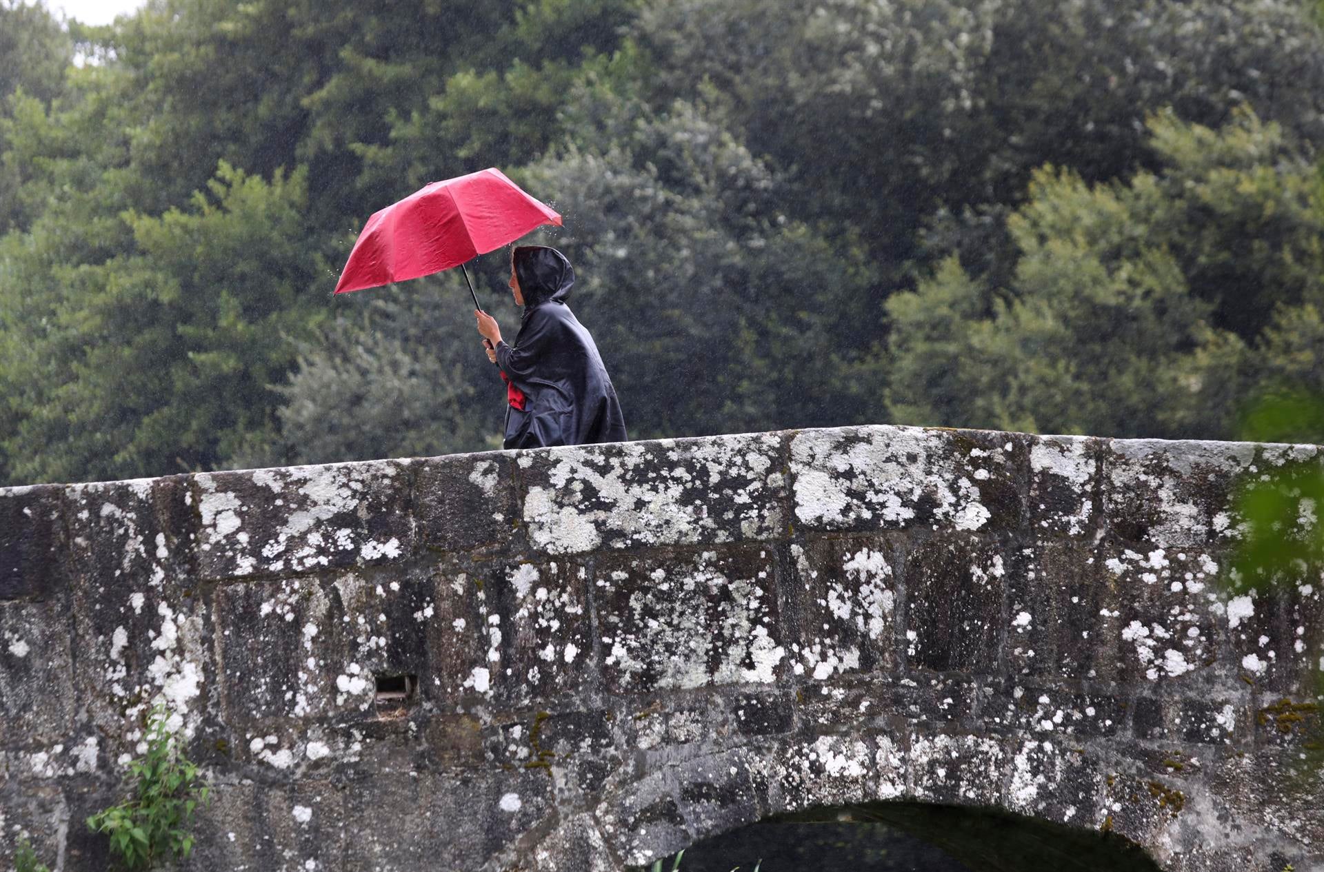 Después de la sequía de verano: por qué las lluvias ahora pueden ser tan peligrosas Después de la sequía de verano: por qué las lluvias ahora pueden ser tan peligrosas
