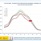 VOLUMEN DE LECHE PRODUCIDA POR GANADEROS Y ENTREGADA (miles de litros) Fuente: datos AICA, elaboración SGPGYC VOLUMEN DE LECHE PRODUCIDA POR GANADEROS Y ENTREGADA (miles de litros) Fuente: datos AICA, elaboración SGPGYC