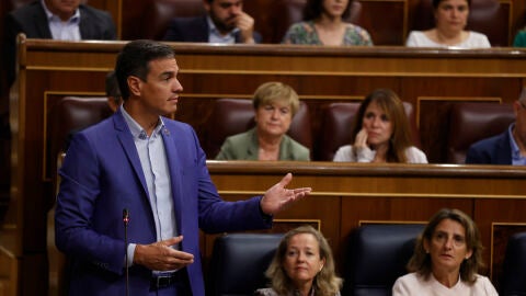El presidente del Gobierno, Pedro S&aacute;nchez, durante su intervenci&oacute;n en la sesi&oacute;n de control al gobierno celebrada este mi&eacute;rcoles en el Congreso