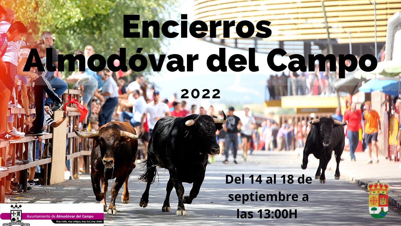 Pistoletazo de salida a los encierros taurinos en Almodóvar del Campo Pistoletazo de salida a los encierros taurinos en Almodóvar del Campo