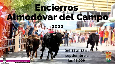 Encierros Almodóvar Encierros Almodóvar