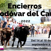 Encierros Almodóvar Encierros Almodóvar