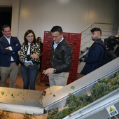 A Xunta pon en valor a alta calidade dos viños da denominacion de orixe Monterrei A Xunta pon en valor a alta calidade dos viños da denominacion de orixe Monterrei