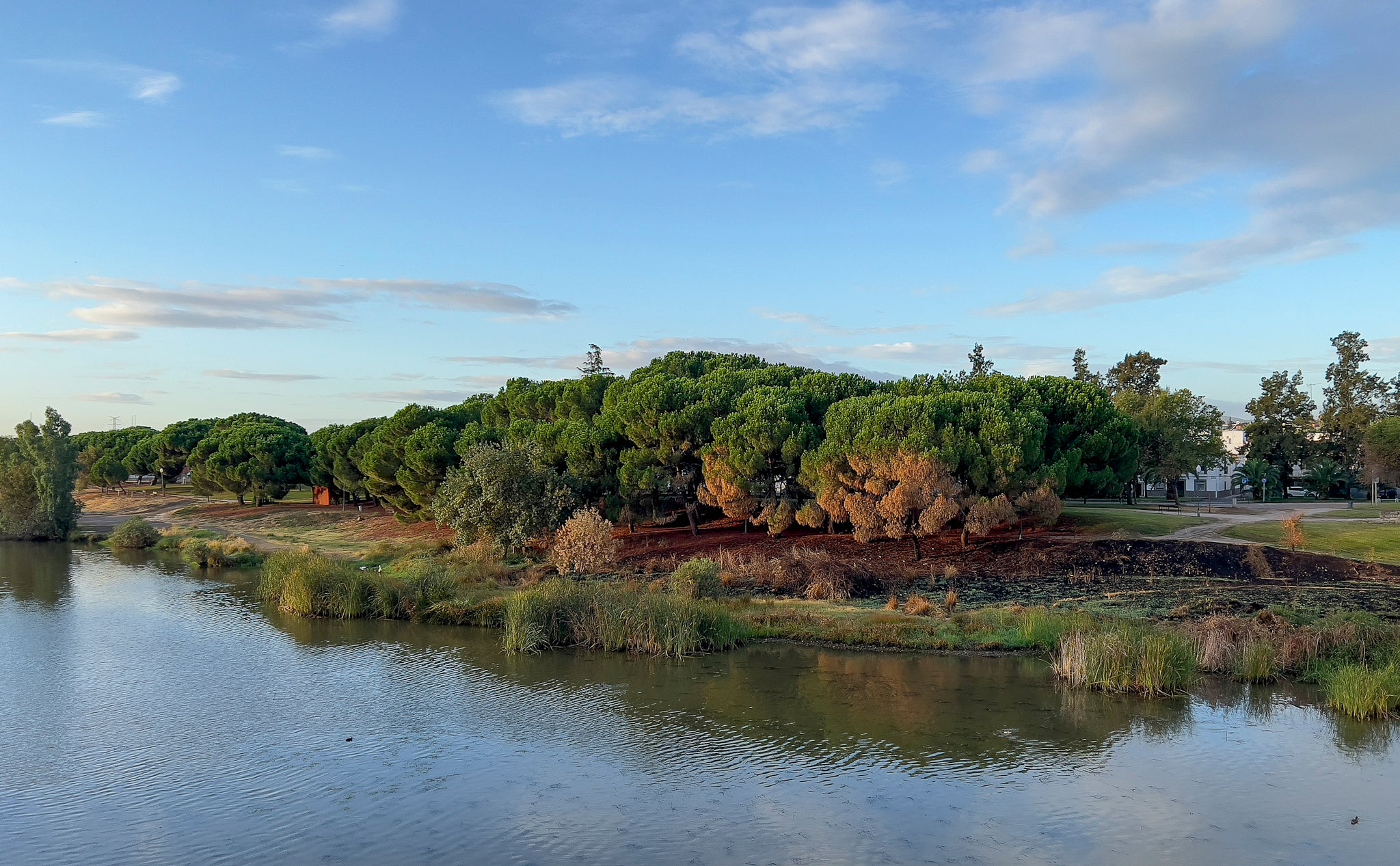 Sale a licitación la automatización del sistema de riego de los parques del Guadiana, Siete sillas y San Antonio Sale a licitación la automatización del sistema de riego de los parques del Guadiana, Siete sillas y San Antonio