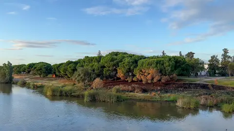Sale a licitación la automatización del sistema de riego de los parques del Guadiana, Siete sillas y San Antonio Sale a licitación la automatización del sistema de riego de los parques del Guadiana, Siete sillas y San Antonio