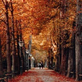 Dos personas caminan entre árboles con hojas otoñales en una imagen de archivo