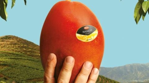 La Gastronom&iacute;a en Onda Cero, con Sabor a M&aacute;laga, marca promocional de la Diputaci&oacute;n Provincial