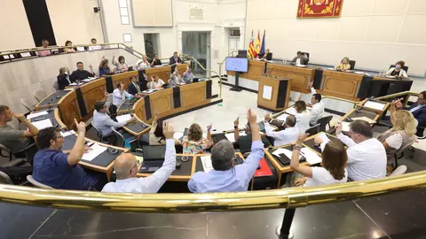 Votación en el pleno de la Diputación de Alicante 