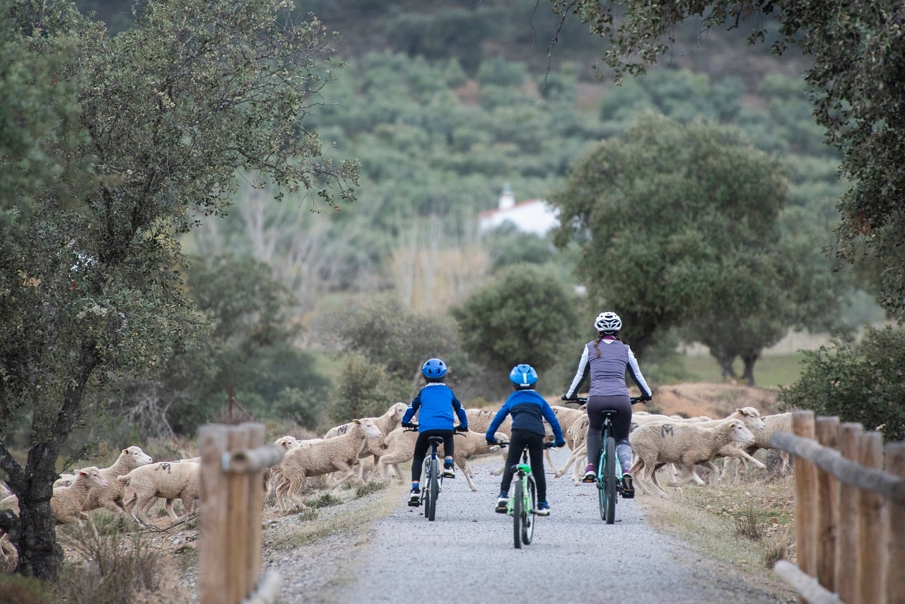 Por los cuatro Caminos Naturales Vías Verdes extremeños transitaron en 2021 una media diaria de 1.330 personas Por los cuatro Caminos Naturales Vías Verdes extremeños transitaron en 2021 una media diaria de 1.330 personas