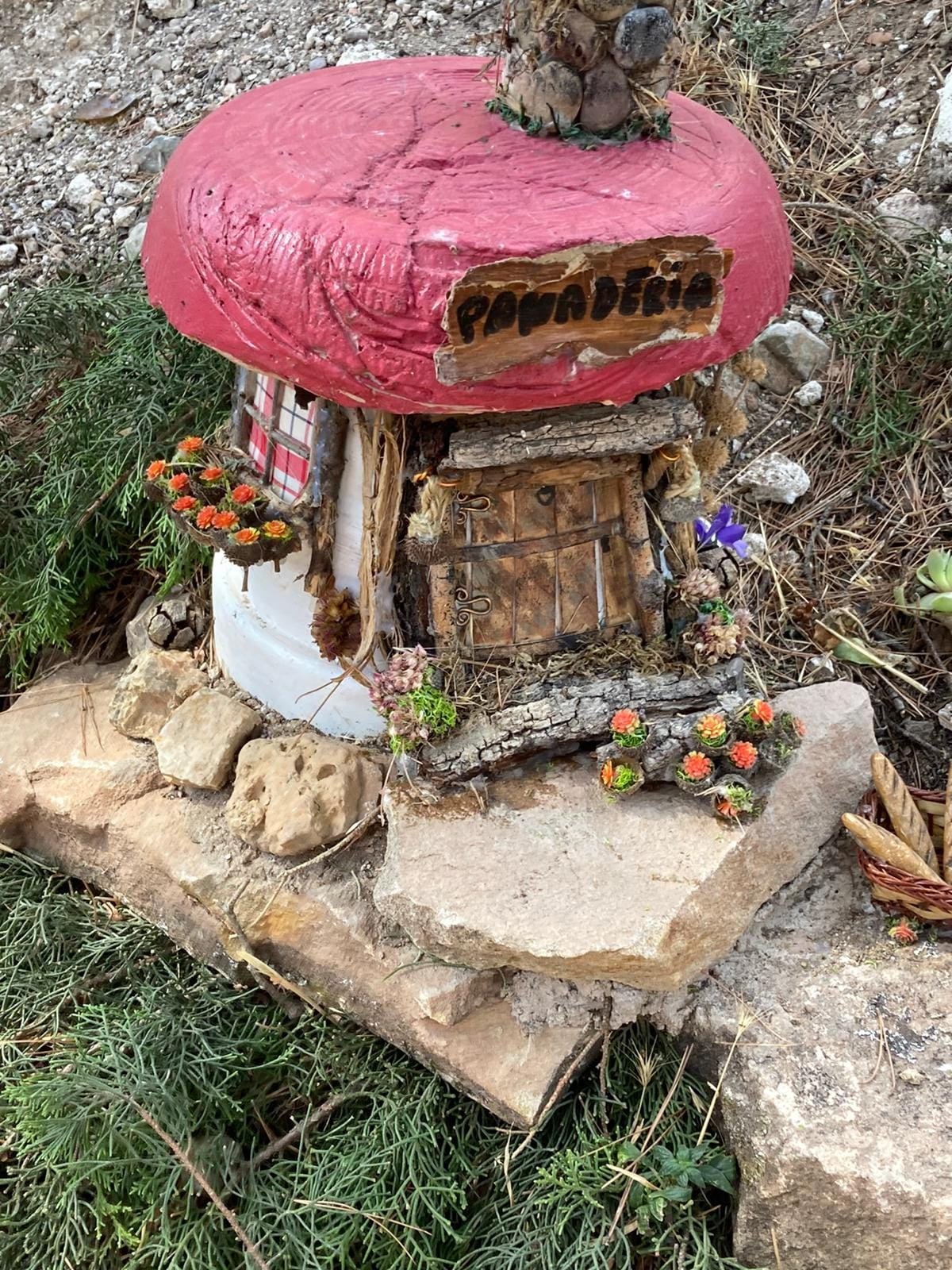 La magia llega al pinar de Tierga con hadas y duendes La magia llega al pinar de Tierga con hadas y duendes