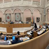 Pleno Parlamento de La Rioja