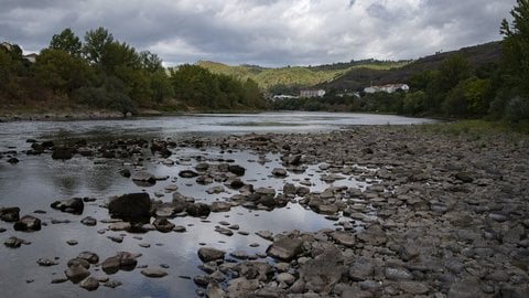 O Psoe reclama medidas urxentes conta a situación de seca na provincia O Psoe reclama medidas urxentes conta a situación de seca na provincia