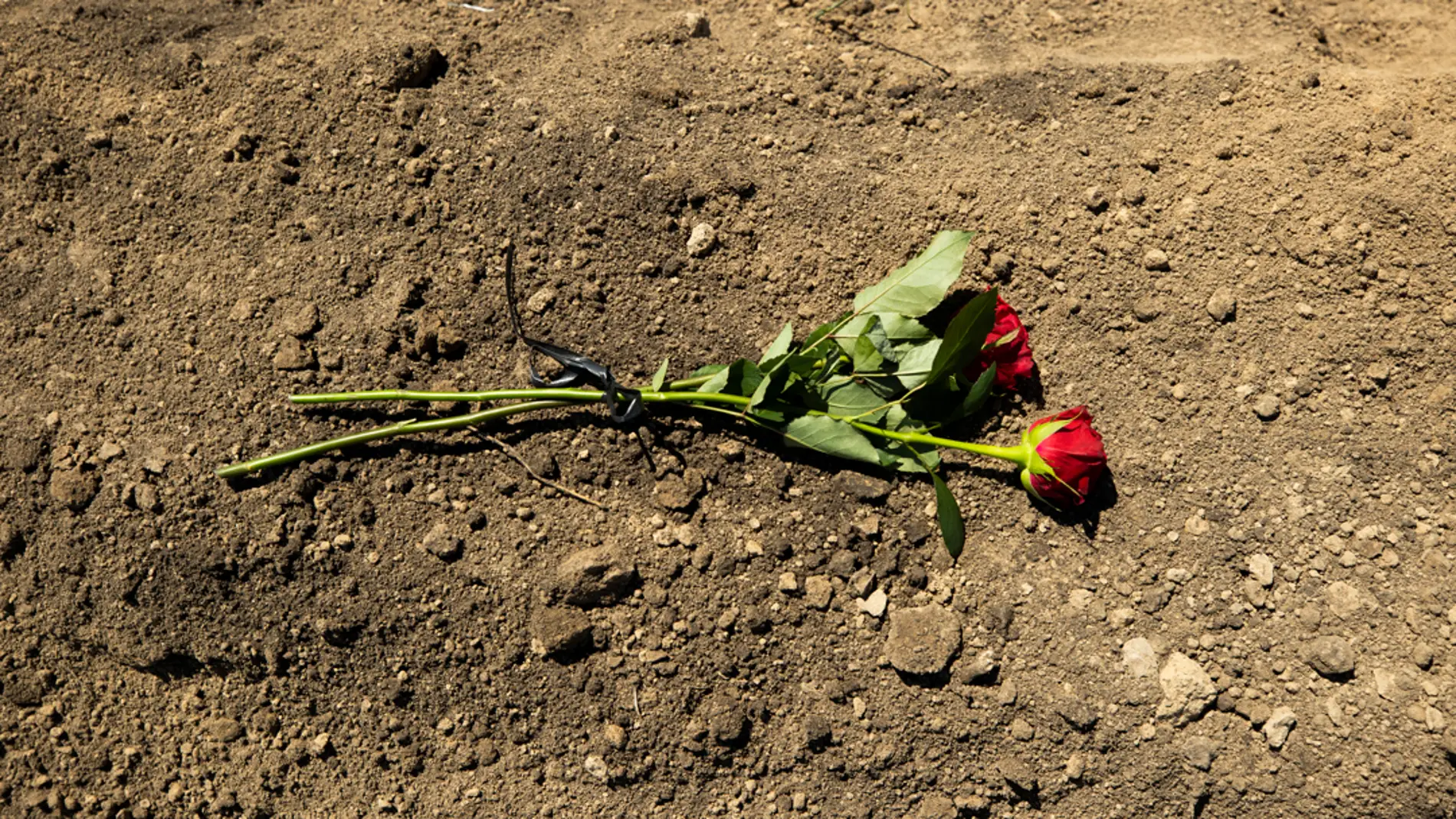 Unas flores permanecen sobre la tumba de uno de los 13 soldados ucranianos caídos en el frente de batalla, en foto de archivo