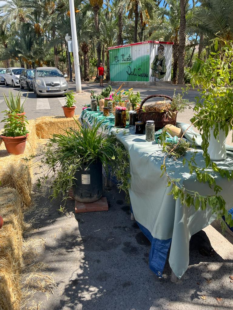 Elche celebra la Semana de la Movilidad en su camino hacia una ciudad más verde Elche celebra la Semana de la Movilidad en su camino hacia una ciudad más verde