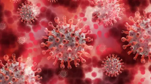 coronavirus coronavirus