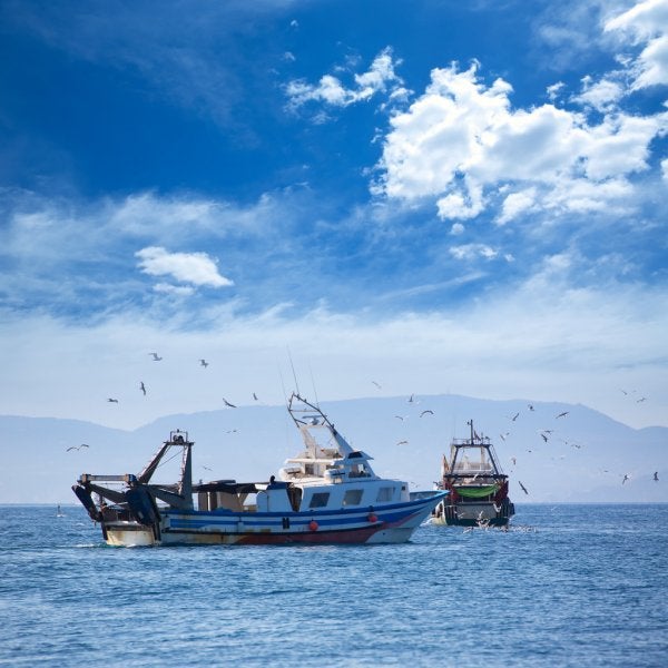 El Ministerio presenta el recurso judicial contra el veto a la pesca de fondo El Ministerio presenta el recurso judicial contra el veto a la pesca de fondo